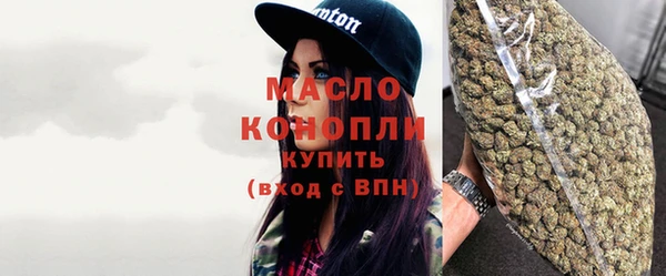 шишки Покачи